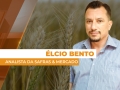 Élcio Bento - Analista da Safras & Mercado