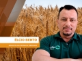 Élcio Bento - Analista da Safras & Mercado