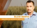 Élcio Bento - Analista da Safras & Mercado