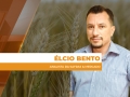 Élcio Bento - Analista da Safras & Mercado