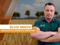 Élcio Bento - Analista da Safras & Mercado