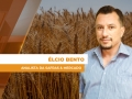 Élcio Bento - Analista da Safras & Mercado