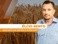 Élcio Bento - Analista da Safras & Mercado