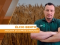 Élcio Bento - Analista da Safras & Mercado