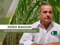 João Baggio - Diretor Presidente  G7 Agro Consultoria