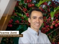Vicente Zotti - Sócio Diretor da Pine Agronegócios
