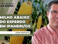 Fábio Barduchi - Presidente do Sindicato Rural de Ipameri/GO
