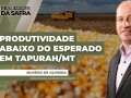 Silvésio de Oliveira - Produtor Rural da região de Tapurah/MT