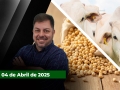 Fechamento de Mercado - Com Aleksander Horta