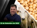 Fechamento de Mercado - Programa Completo