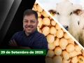 Fechamento de Mercado - Programa Completo
