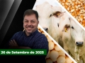Fechamento de Mercado - Programa Completo
