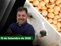 Fechamento de Mercado - Programa Completo