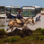 Cheias nas Argentina - Maio 2025 (3)