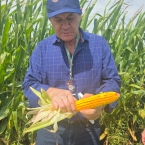 Crop Tour GL-NA 2026 - Malta IL (1)