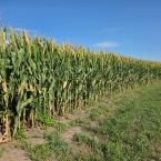 CT 2026 - Andover-IL (1)