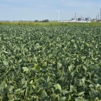 CT 2026 - Bagley-IA (7)