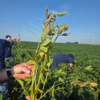 CT 2026 - Blue Grass-IA (1)