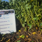 CT 2026 - Blue Grass-IA (4)
