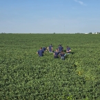 CT 2026 - Blue Grass-IA (9)