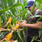 CT 2026 - Bremer-IA (8)