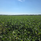 CT 2026 - Cedar Rapids-IA (7)
