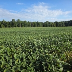 CT 2026 - Edenton-OH (4)