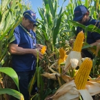 CT 2026 - Letts-IA (11)