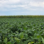 CT 2026 - Lime Springs-IA (7)