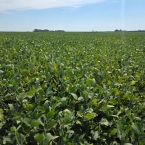 CT 2026 - Perry-IA (2)
