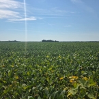 CT 2026 - Perry-IA (6)