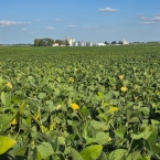 CT 2026 - Sanborn-MN (7)