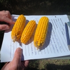 CT 2026 - Stanley Corner-SD (15)