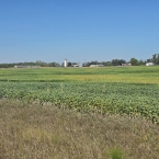 CT 2026 - Stanley Corner-SD (8)