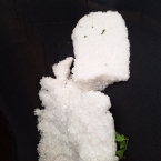 Fora do comum: Granizo atinge cafezais no Sul de MG e acarreta fortes prejuízos para safra/26 liberdade alpinopolis 6 5IyzP - Fora do comum: Granizo atinge cafezais no Sul de MG e acarreta fortes prejuízos para safra/26