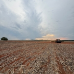 Plantio em Confresa-MT - Outubro 2026 (2)