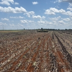 Plantio em Confresa-MT - Outubro 2026 (3)
