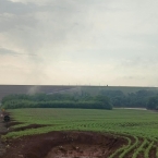 Plantio parado Paraná - Outubro 2026 (2)