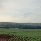 Plantio parado Paraná - Outubro 2026 (3)