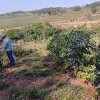 São Pedro da União (6)