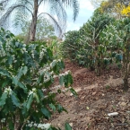 Sitio São José da Laje de Pedra Serra NegraSP (1)