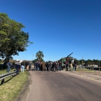 WhatsApp Image 2025-05-30 at 10.40.03