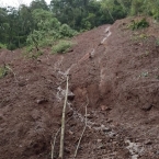 impactos das enchentes na propriedade familiar Granja Santo Antônio