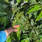 WhatsApp Image 2025-12-01 at 16.28.26