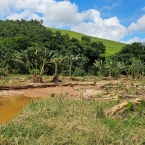 WhatsApp Image 2026-03-05 at 15.08.12