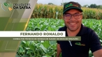 FERNANDO 2