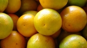 Laranja - Destaque 2 - 377x370