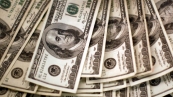 dolar nova 2020 (4)