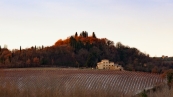 AGROCAD (2).jpg