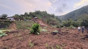 Área de café afetada pelo terremoto na Colômbia